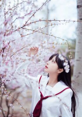 免费观看美女隐私视频无下载网页_DVD免费全集观看